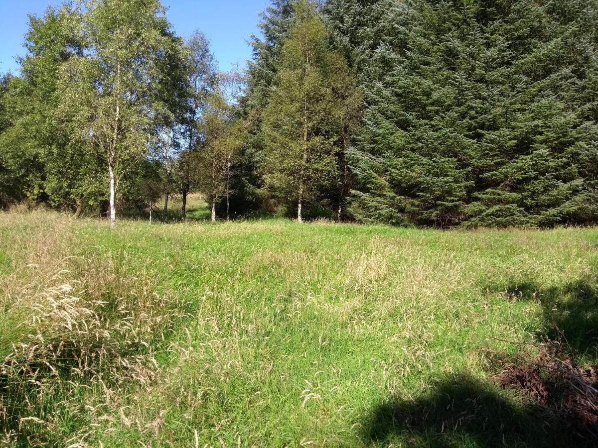 Cleeves Cabins Ailsa Luxury Lodge With Hot Tub Dalry  Bagian luar foto