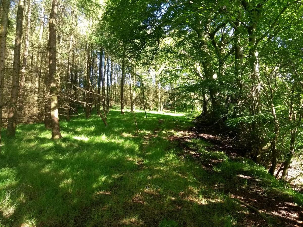 Cleeves Cabins Ailsa Luxury Lodge With Hot Tub Dalry  Bagian luar foto